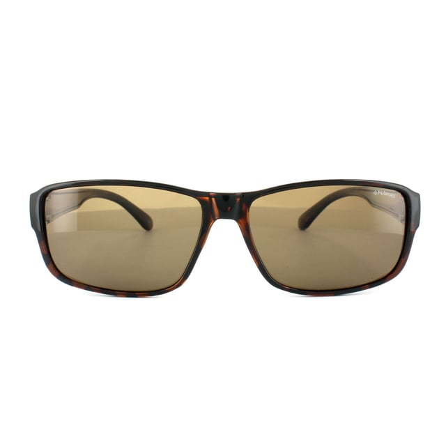 Polaroid Gafas de sol - dark havana/marrón 